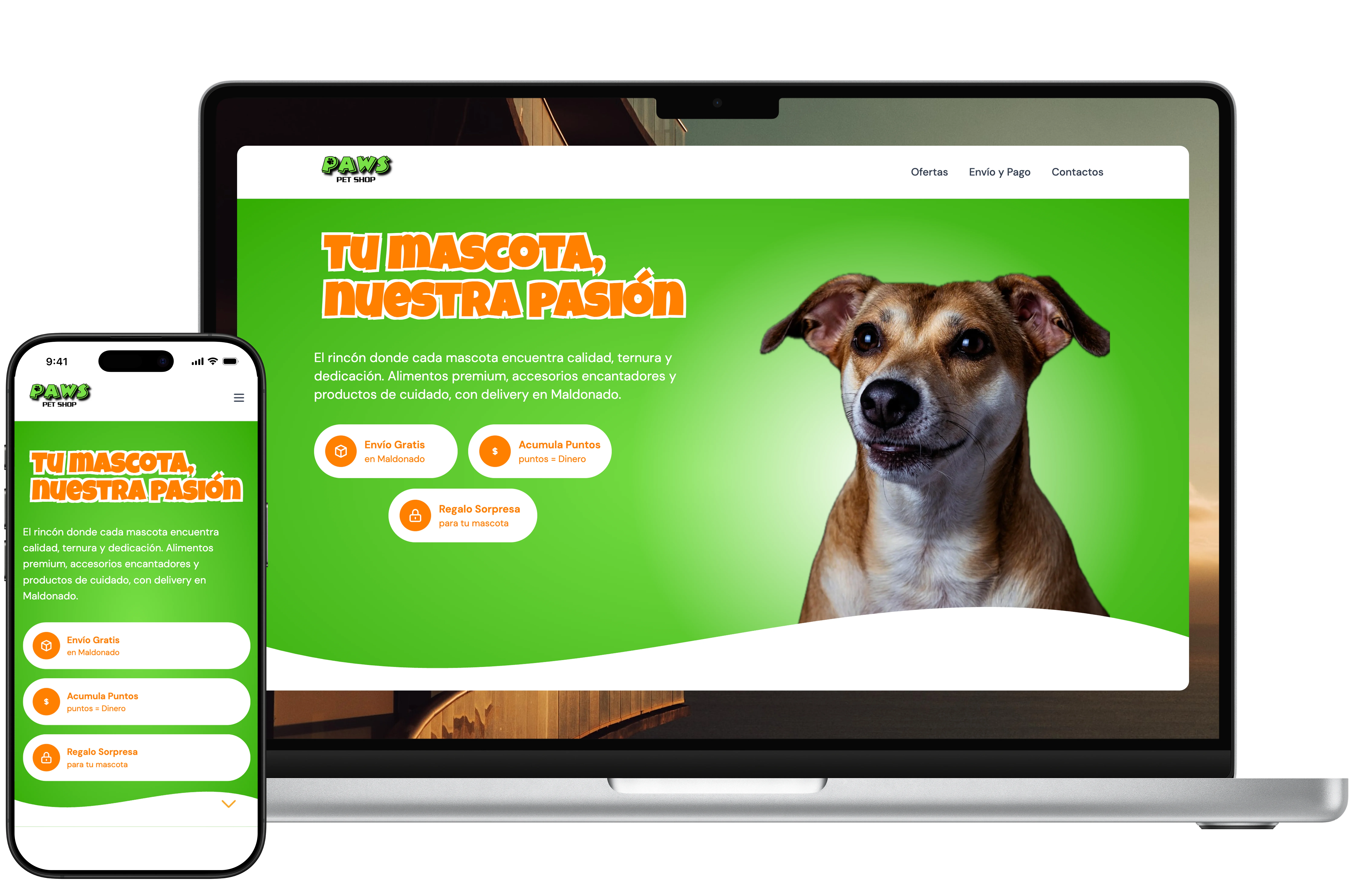 projects.landing.title